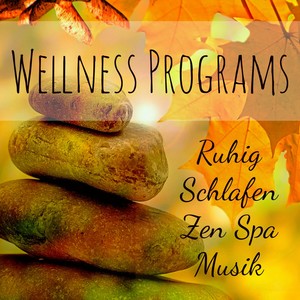 Wellness Programs - Alpha Gehirnwellen Ruhig Schlafen Zen Spa Musik mit Instrumental Natur Heilung G