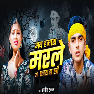 Ab Hamra Marle Me Faida Chho