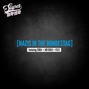 Nazis In The Bundestag