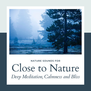 Close To Nature - Nature Sounds For Deep Meditation, Calmness And Bliss