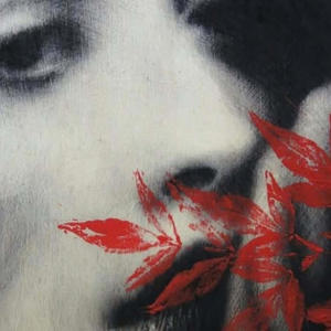 Fading Lights (Explicit)