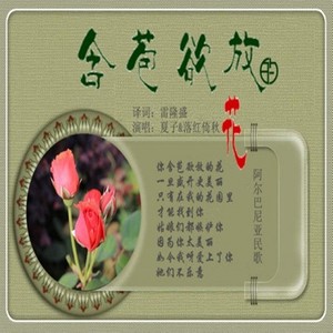 含苞欲放的花（国外经典）