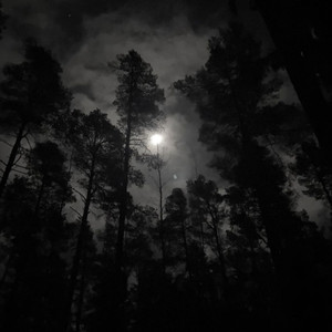 Mona Lisa (Explicit)