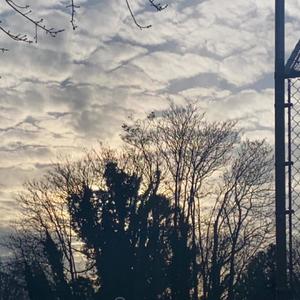 Forfeit (feat. Wheresjordxn) (Explicit)