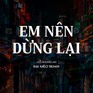 Em Nên Dừng Lại (Đại Mèo Remix)