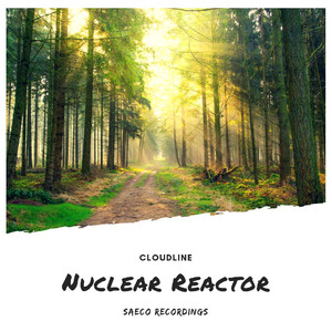 Nuclear Reactor