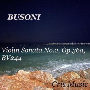 Busoni: Violin Sonata No.2, Op.36a, BV 244 (Live)