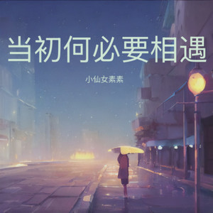 当初何必要相遇