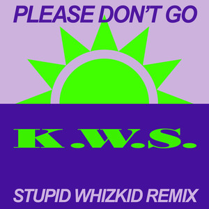 Please Don't Go (Stupid Whizkid Extended Remix)