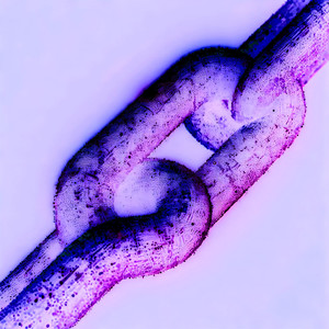 Indigo Noise (Remix)