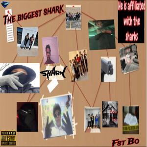 Free The Sharks (Official Audio) (feat. Lil Kilo)