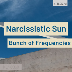 Narcissistic Sun (Original Mix)