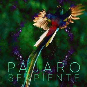 Pájaro serpiente