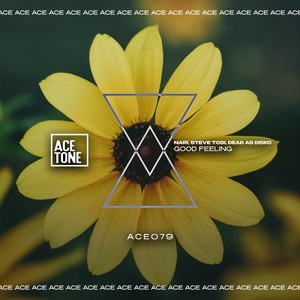 Good Feeling (Original Mix)