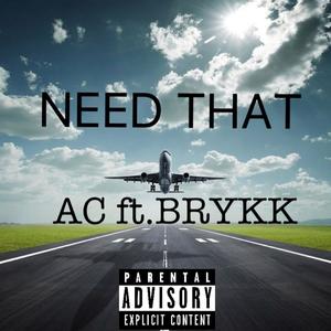 Need that (feat. BRYKK) [Explicit]