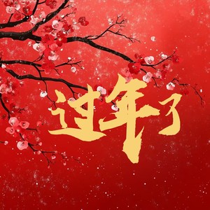 过年了 (家和万事兴) (伴奏)