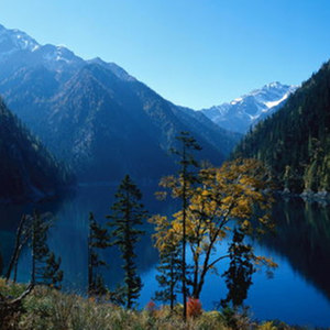 小小柑子难剥皮