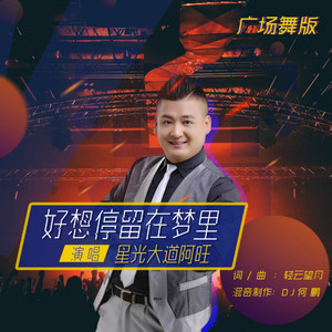 好想停留在梦里 (DJ何鹏版)