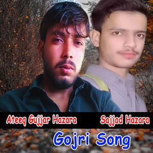 Gojri Song - Single