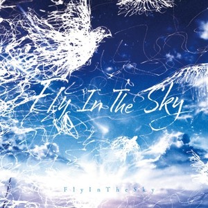 Fly in the sky