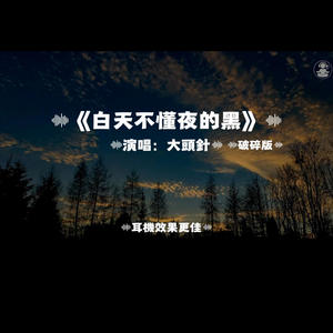 白天不懂夜的黑/大頭針