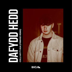 Colli Ar Fy Hun (FRMAND REMIX)