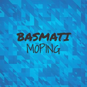 Basmati Moping