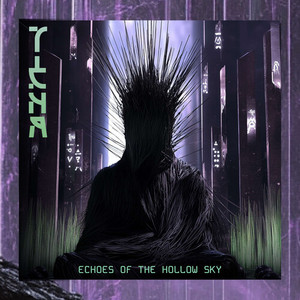 Echoes of the Hollow Sky