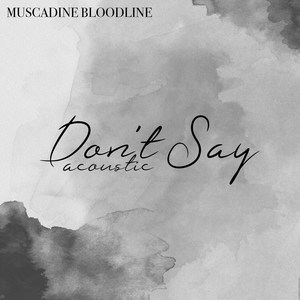 Don't Say Acoustic