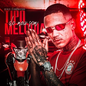 Tipo Melodia do Meu Som (Explicit)
