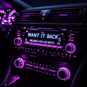 Want It Back (Explicit)