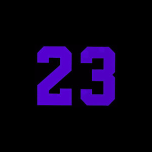 23