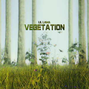 Vegetation (Explicit)