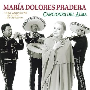 Cuando Sale La Luna