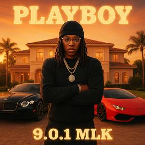 Playboy (Explicit)