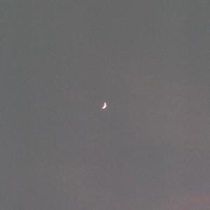 l´'últim adeu (Explicit)