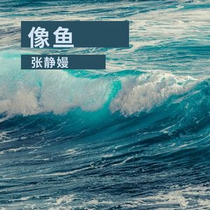 浪迪吧 (DJ弹鼓版)