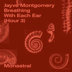 Sea Is A Sky When You Are Shelved Stowage