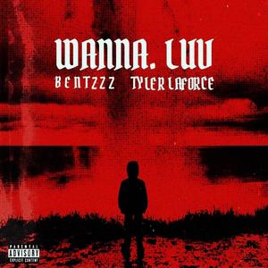 Wanna. LUV (feat. Tyler LaForce) (Explicit)