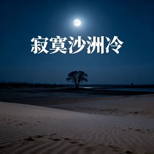 徐仁 - 寂寞沙洲冷 (那样浓烈的爱再也无法给)