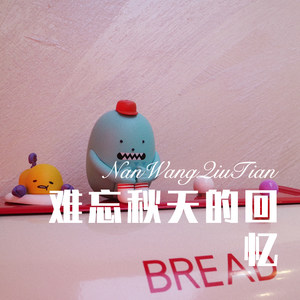 难忘秋天的回忆 (Remix)封面