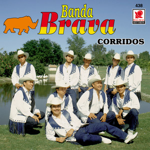 Corridos - Banda Brava