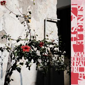 Now for the Real World (Kris Baha Remix)