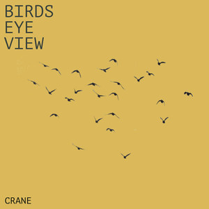 Birds Eye View (Explicit)