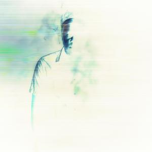 InDaVIP (feat. SoGro$$) (Explicit)