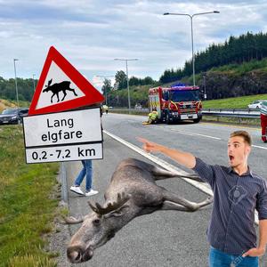 En jævlig lang elg (Explicit)