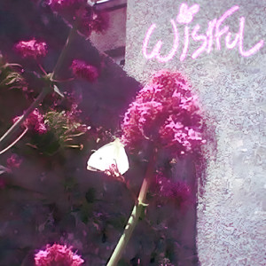 Wistful (Explicit)