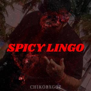 Spicy Lingo