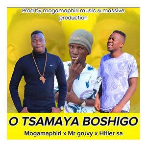 O Tsamaya Bushigo (feat. Mogamaphiri)