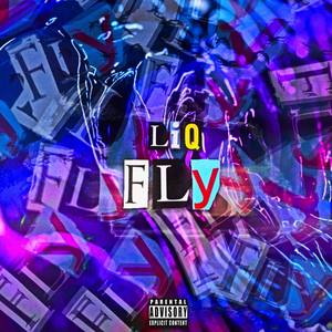 FLY (Explicit)